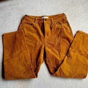 Pac Sun Corduroy Pants